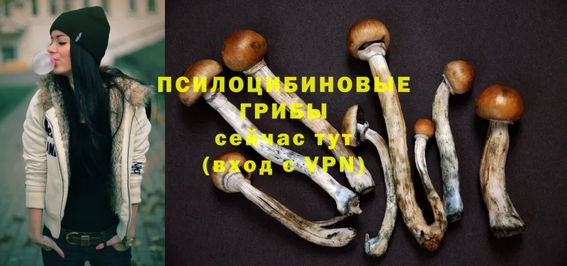 Галлюциногенные грибы MAGIC MUSHROOMS  Димитровград 